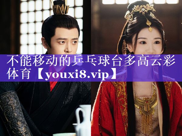 不能移动的乒乓球台多高云彩体育