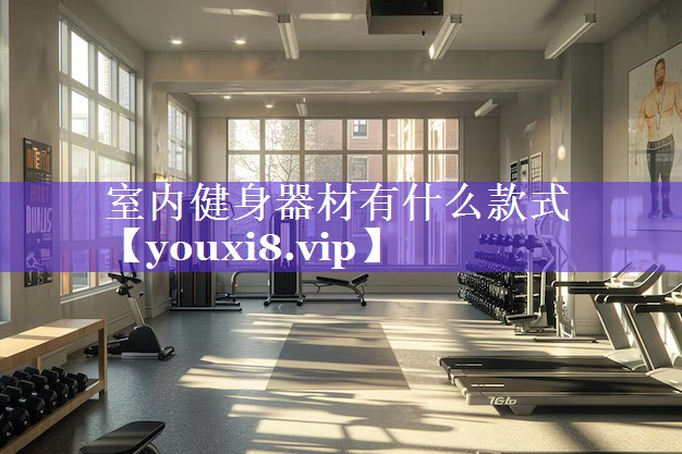 室内健身器材有什么款式