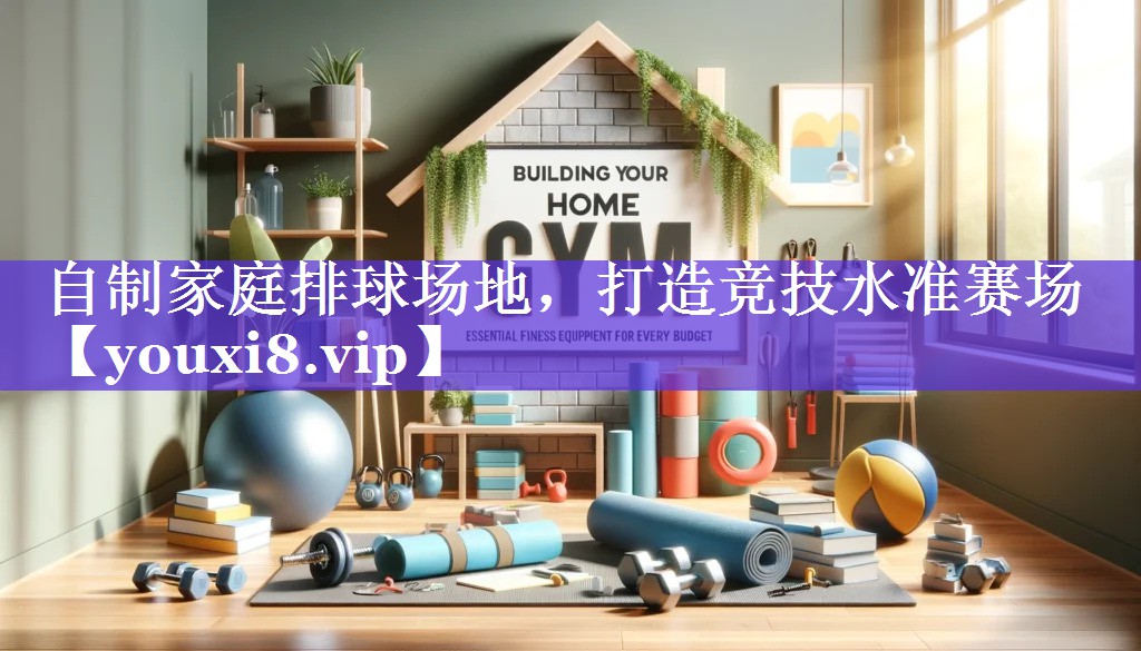 自制家庭排球场地,打造竞技水准赛场 自制家庭排球场地,打造竞技水准赛场