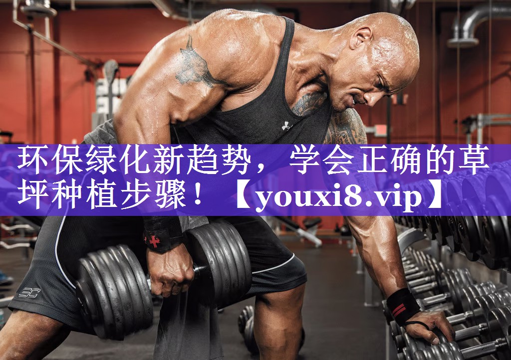 环保绿化新趋势，学会正确的草坪种植步骤！