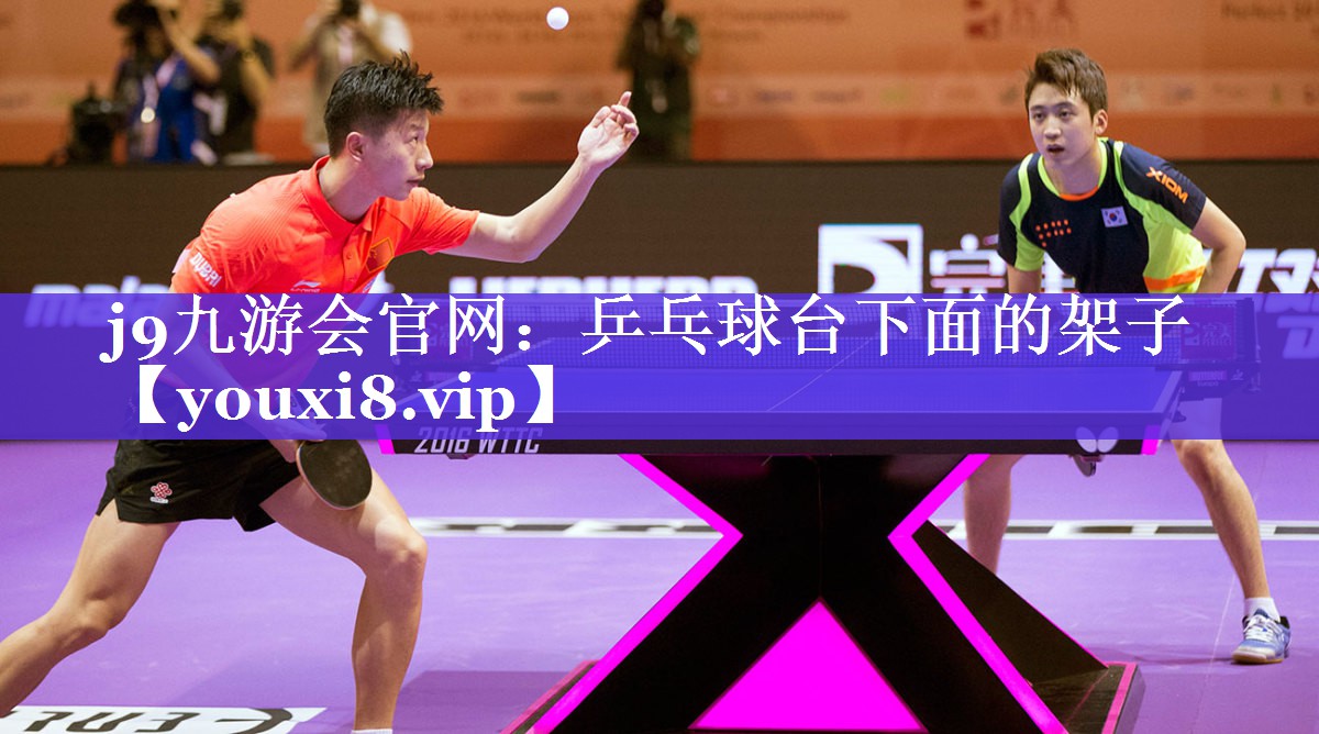 乒乓球台下面的架子